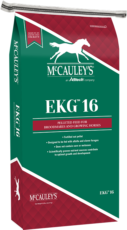 McCauleys-Mockup-EKG-16