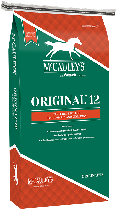 McCauleys-Mockup-Original-12-TEX-2