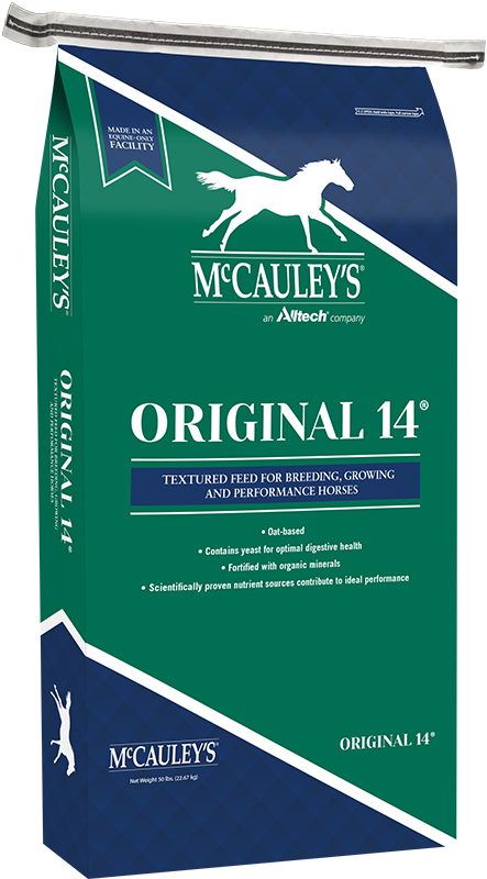 McCauleys-Mockup-Original-14-TEX-2
