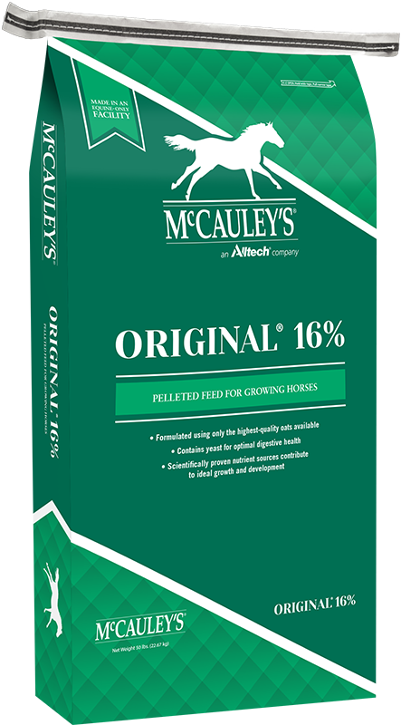 McCauleys-Mockup-Original-16-2
