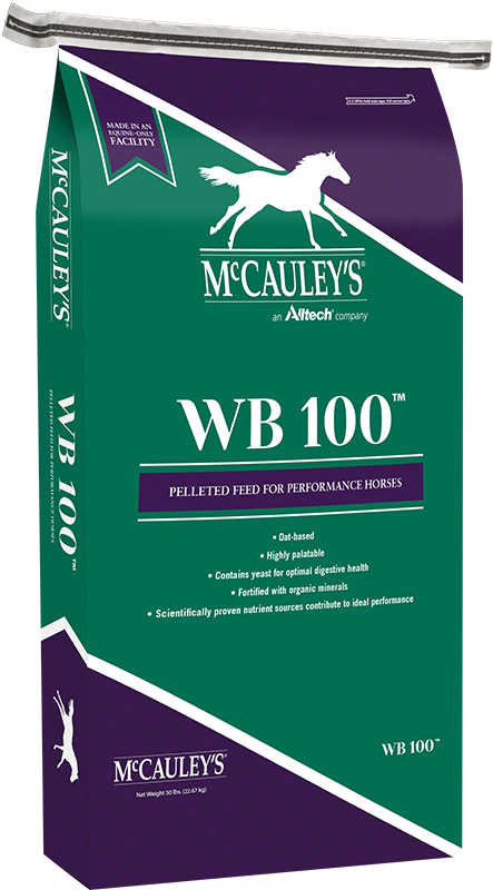 McCauleys-Mockup-WB-100-2