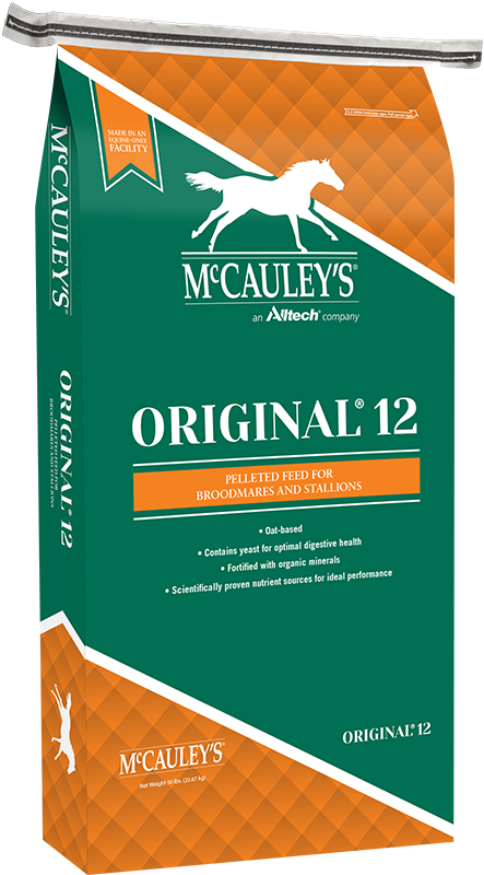 McCauleys-Mockup-Original-12-PEL