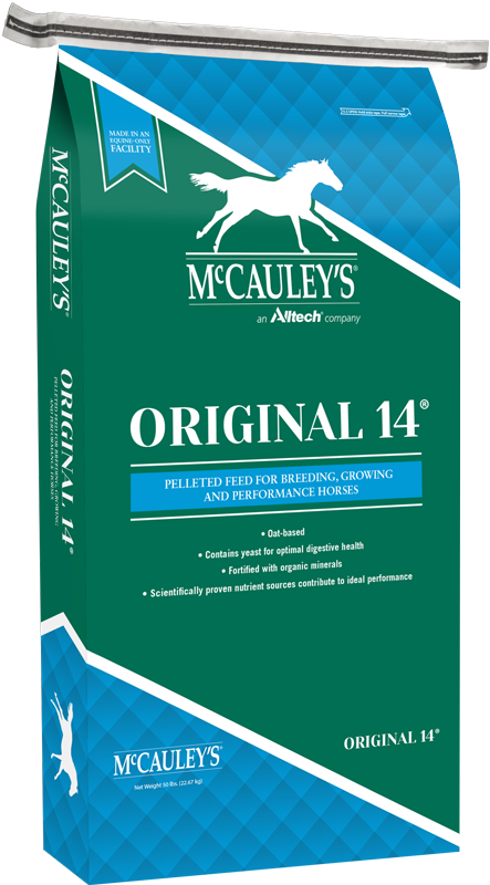 McCauleys-Mockup-Original-14-PEL